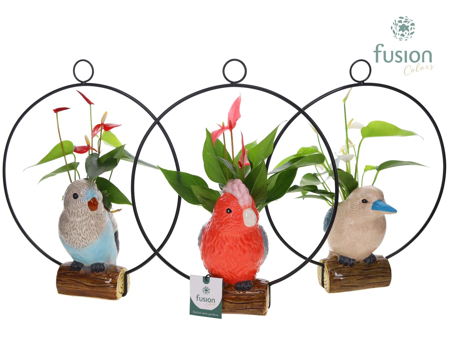 Keramiek vogels in de ring met Anthurium, D 28