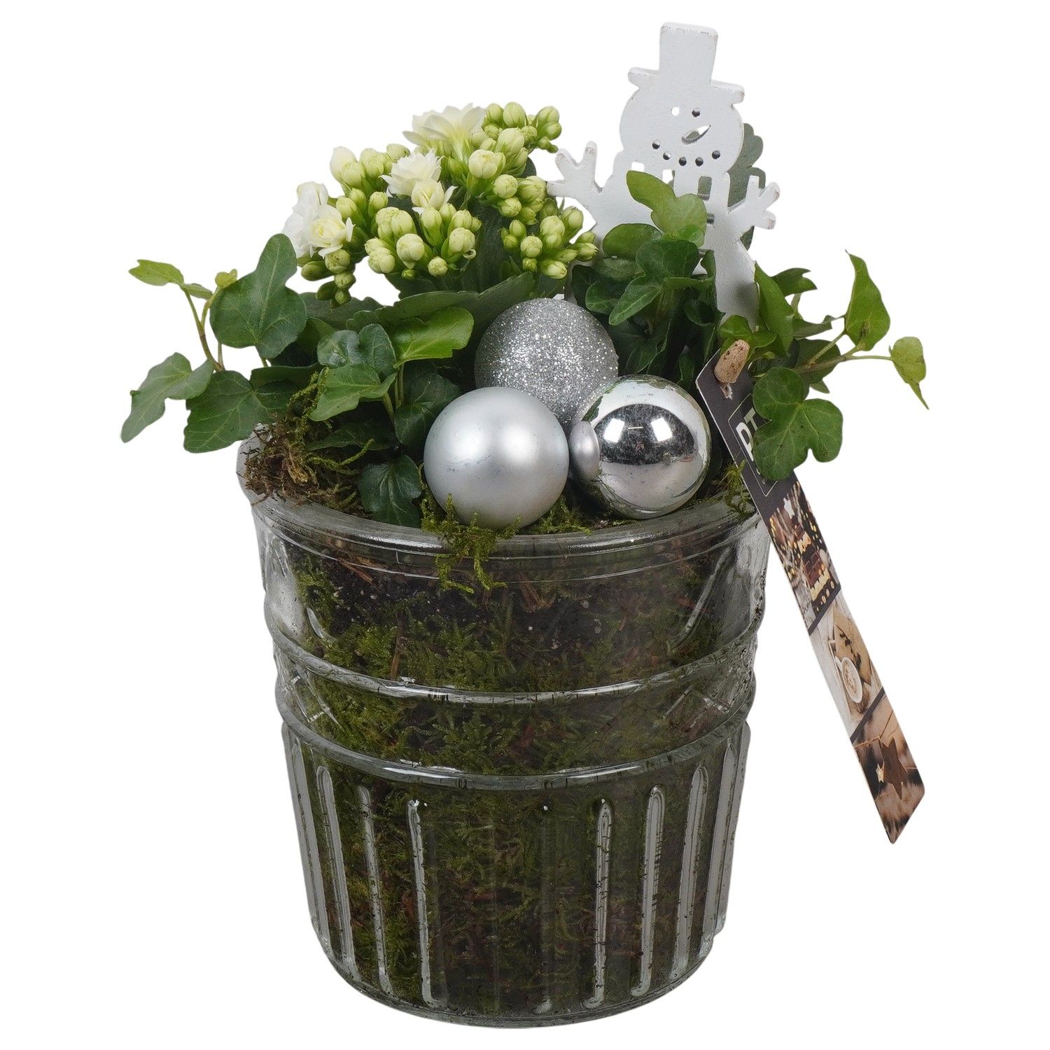 PTCHW4341 Arrangement Christmas White in glazen pot, D 12 cm