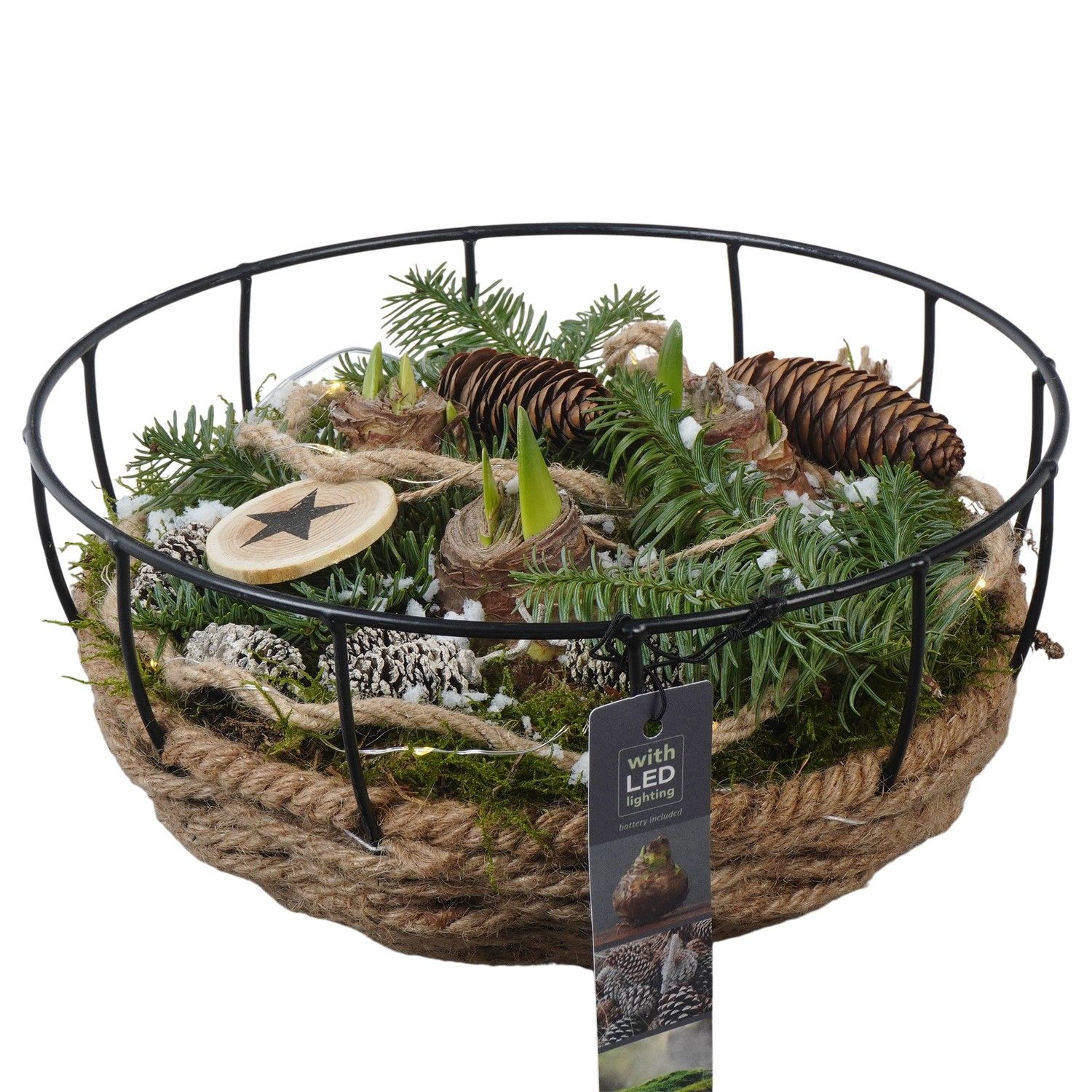 PTACH5905 Arrangement Amaryllis Christmas in touw mand met metaal, D 25 cm