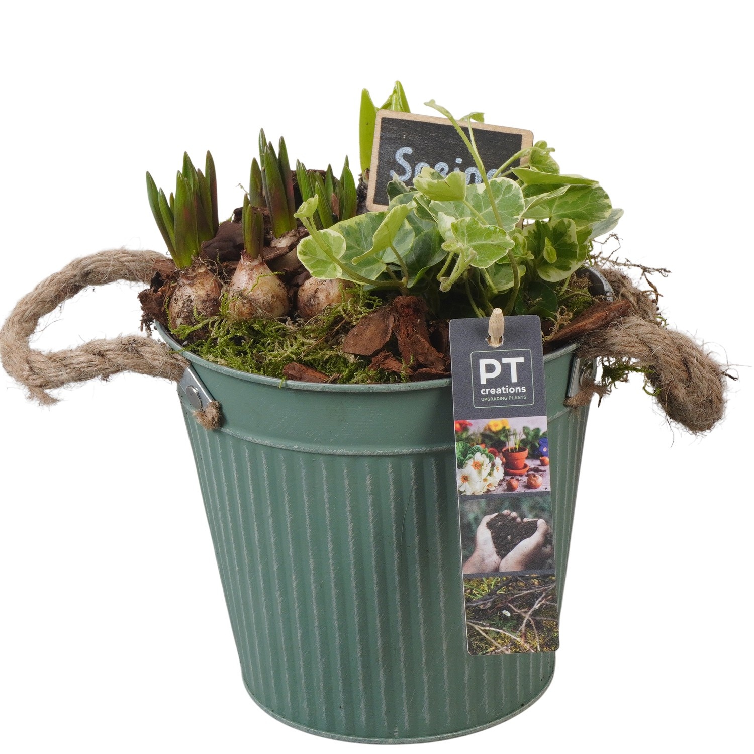 PTBM3777 Arrangement Flower Bulbs Mix in metalen pot, D 16