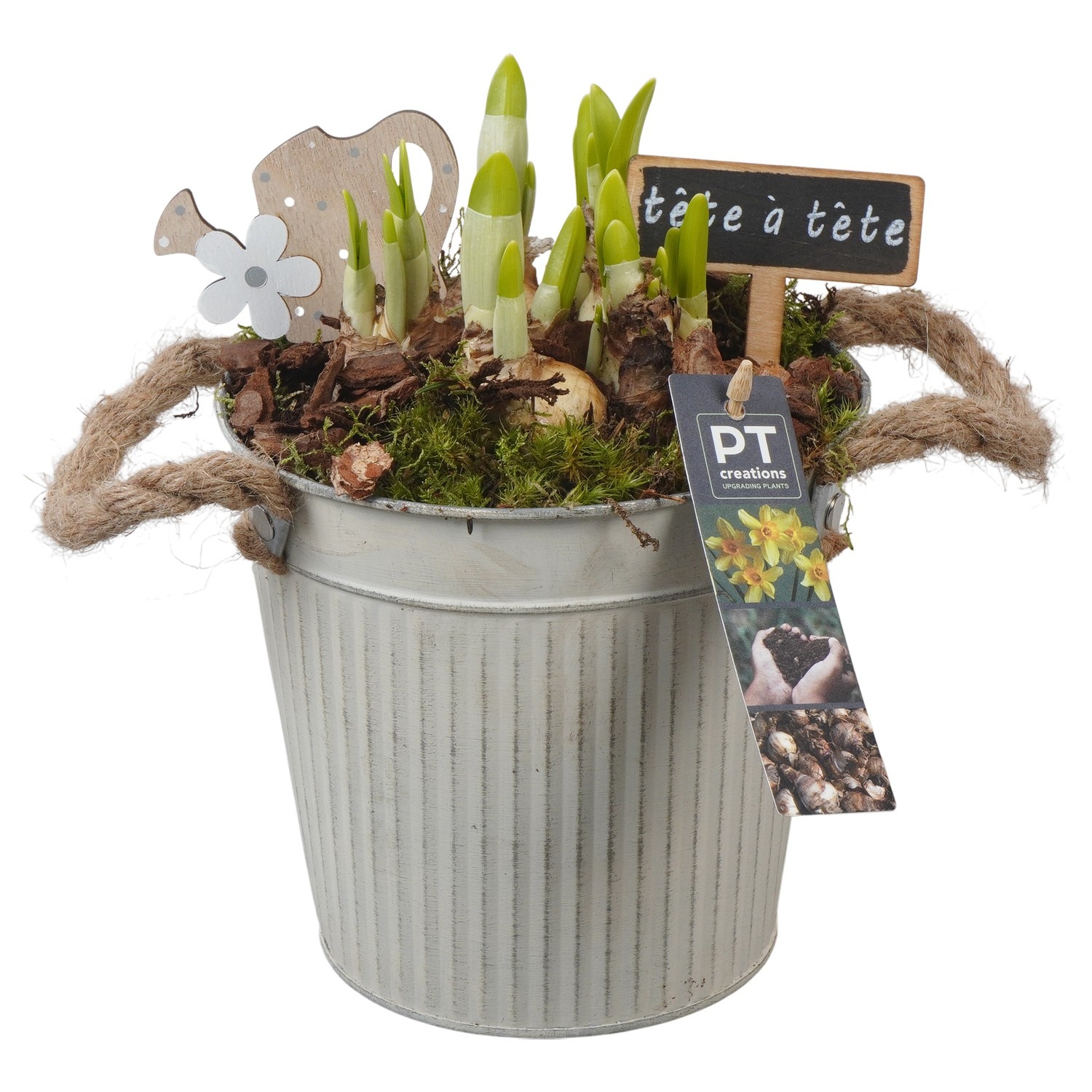 PTN8585 Arrangement Narcissus in zink pot, D 16