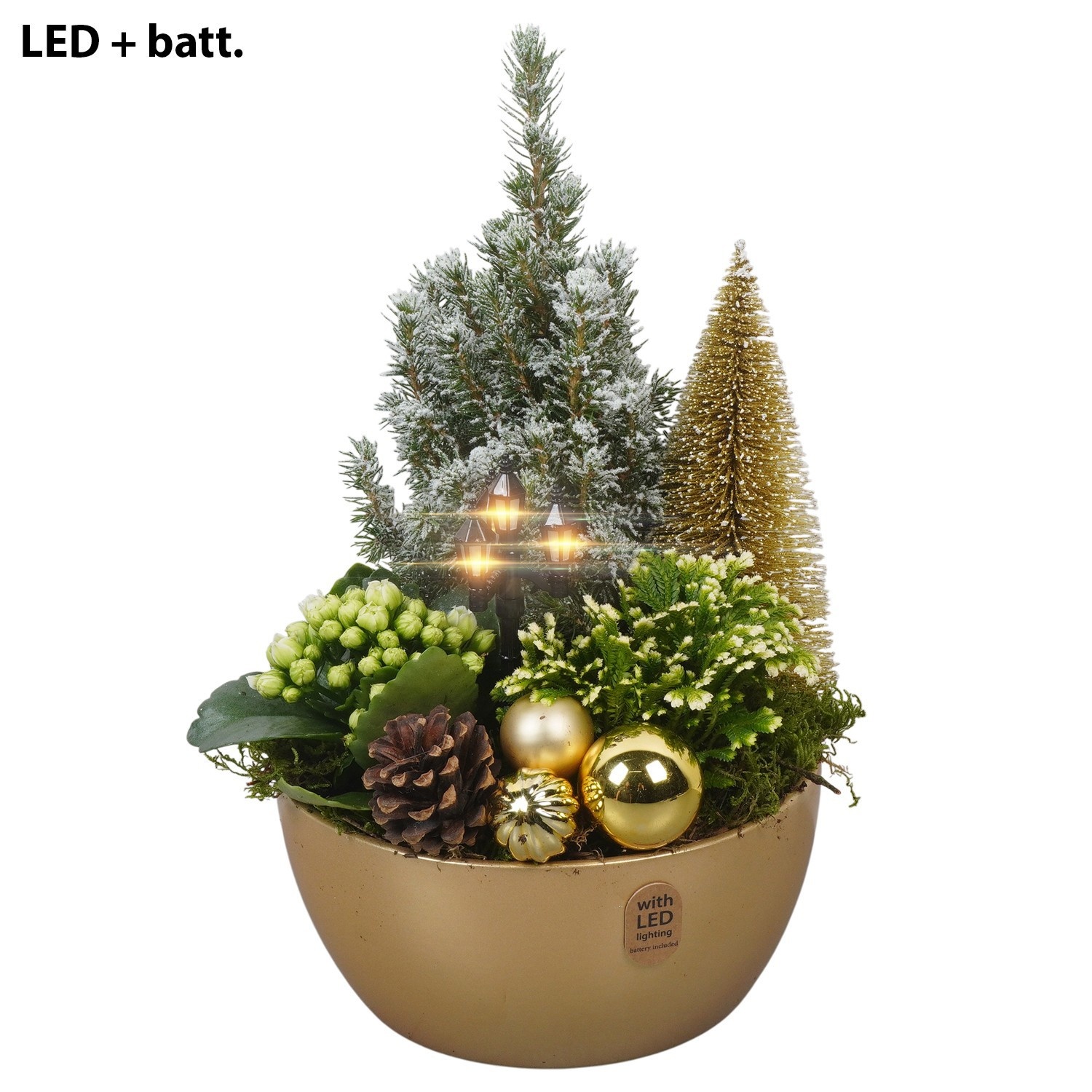 PTCHG4679 Arrangement Christmas Gold in keramiek schaal met LED, D 18
