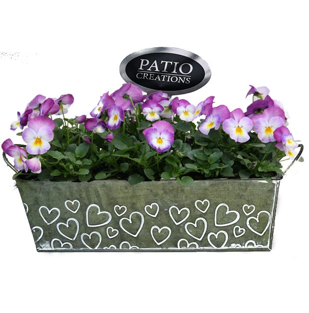 V762-9003 Viola Green Love zink M, D 28 cm V762-9003 Viola Green Love zink M, D 28 cm