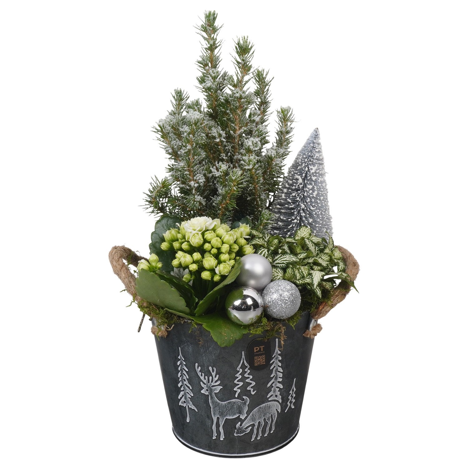 PTCHW7945 Arrangement Christmas White in metalen pot, D 15