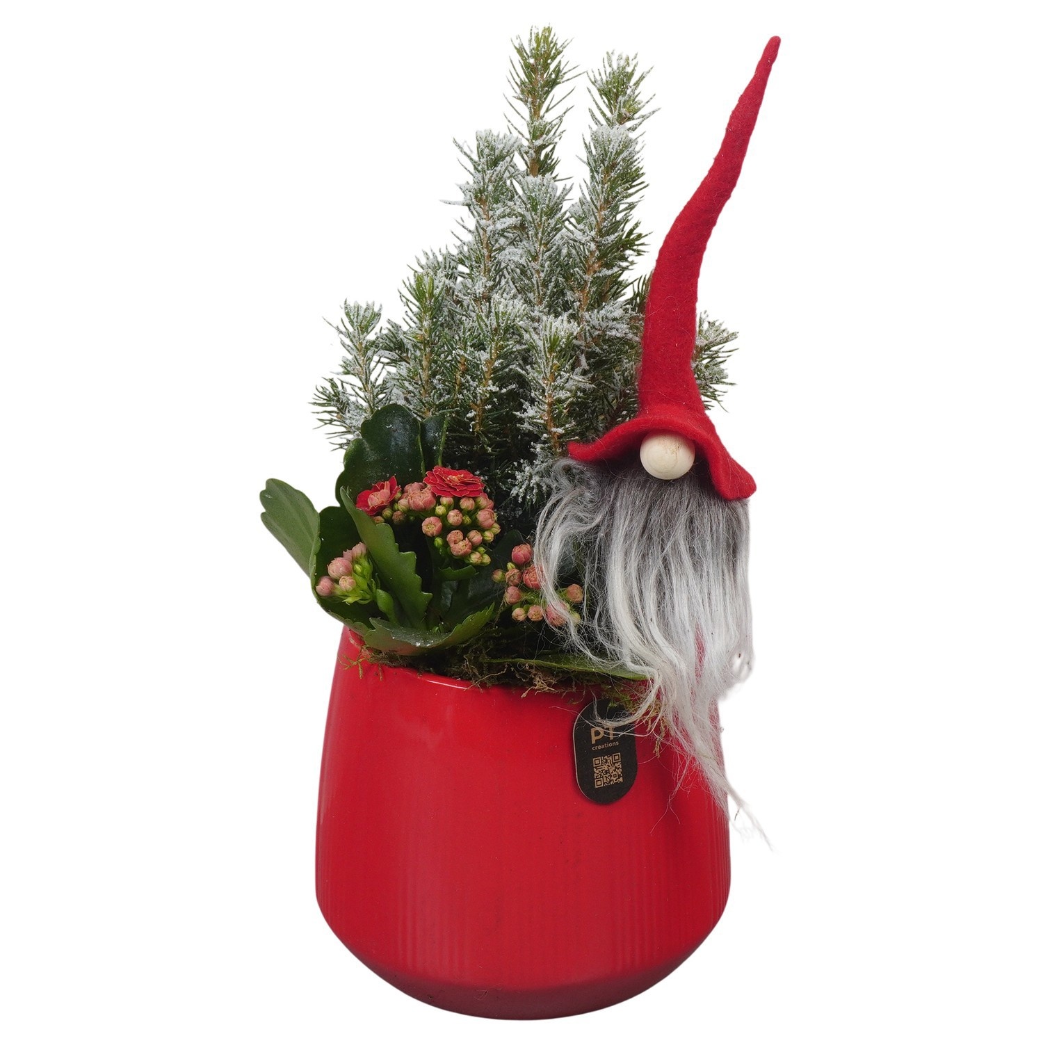PTCHR9560 Arrangement Christmas Red in keramiek pot, D 12