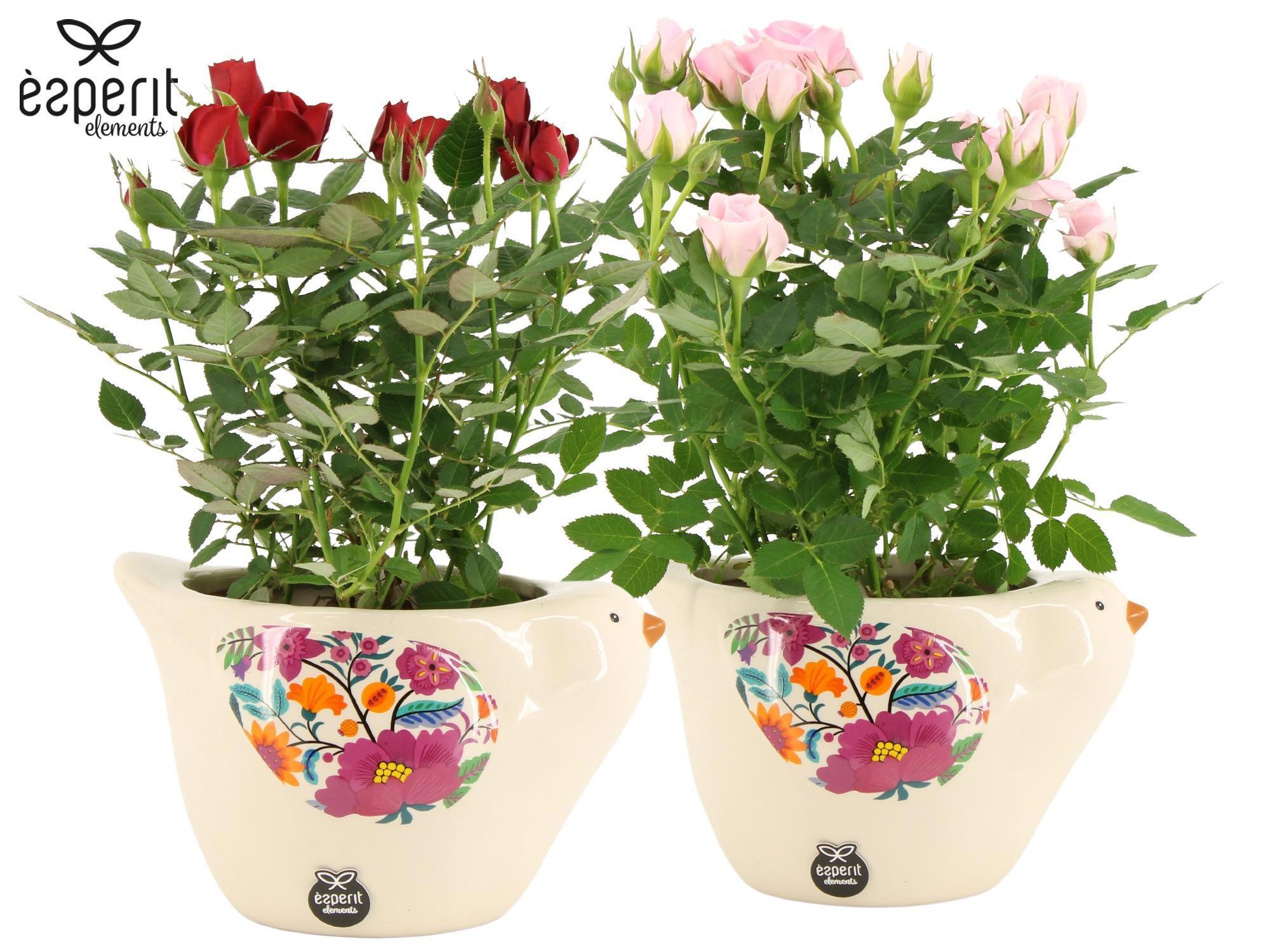 2501192: Solutionss Lovess, D 10,5