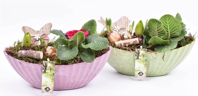 Kunstof kano groen/roze 28x12cm, D 28