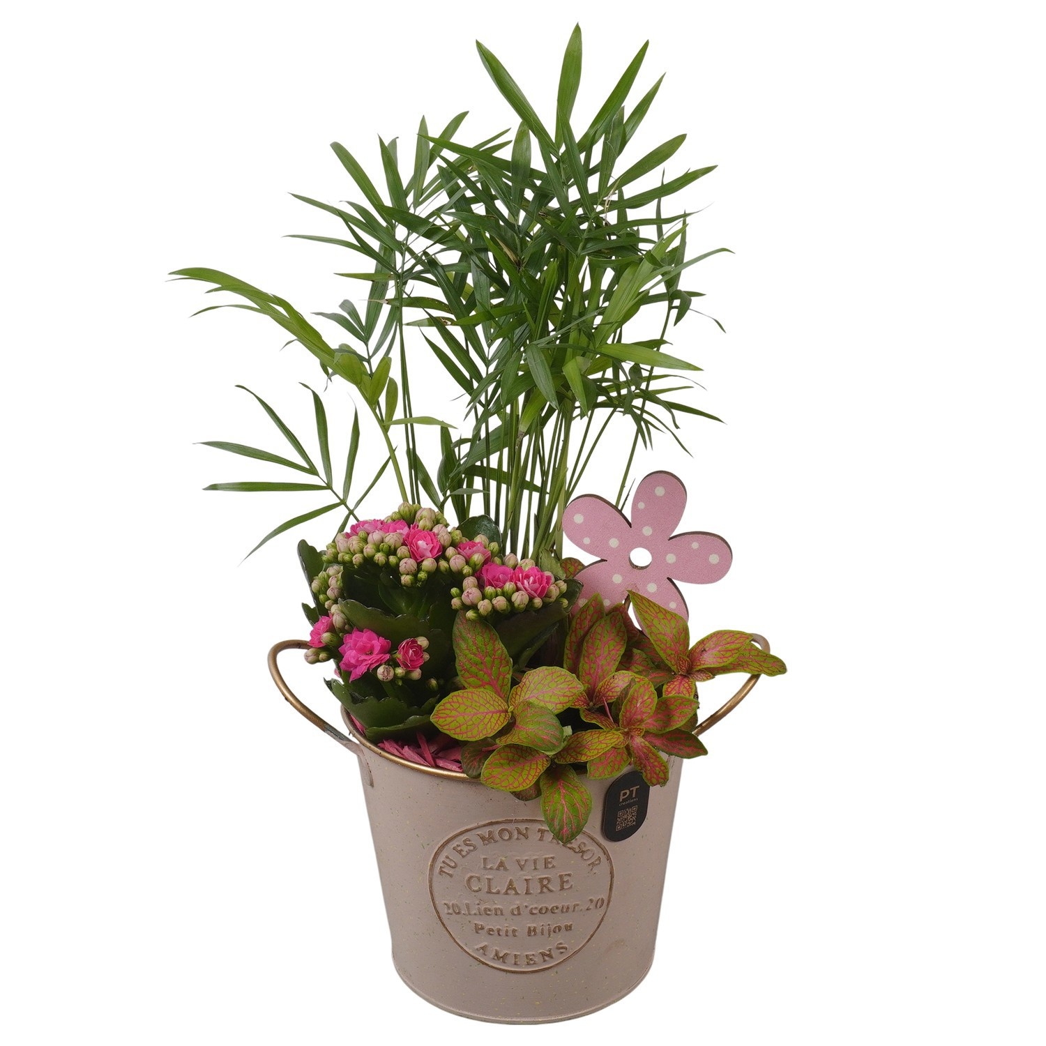 PTIB5307 Arrangement Indoor in metalen pot, D 13