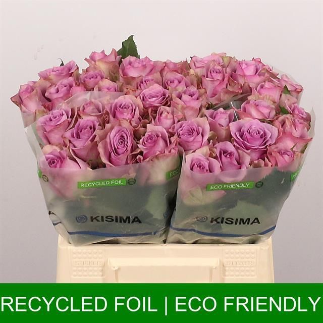 Роза од. Найтингейл! 40, шт.