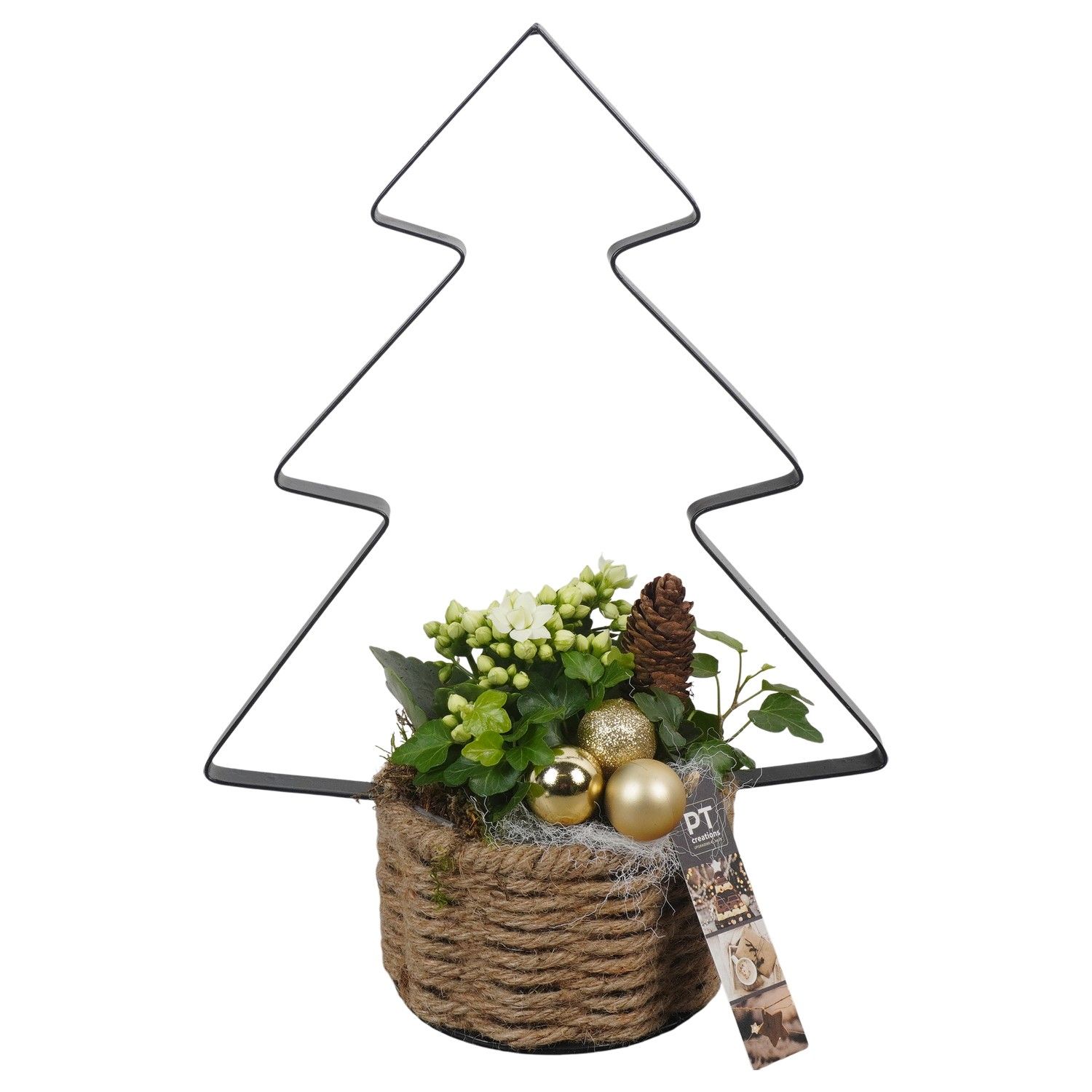 PTCHG5678 Arrangement Christmas Gold in touwmand met metaal, D 14 cm