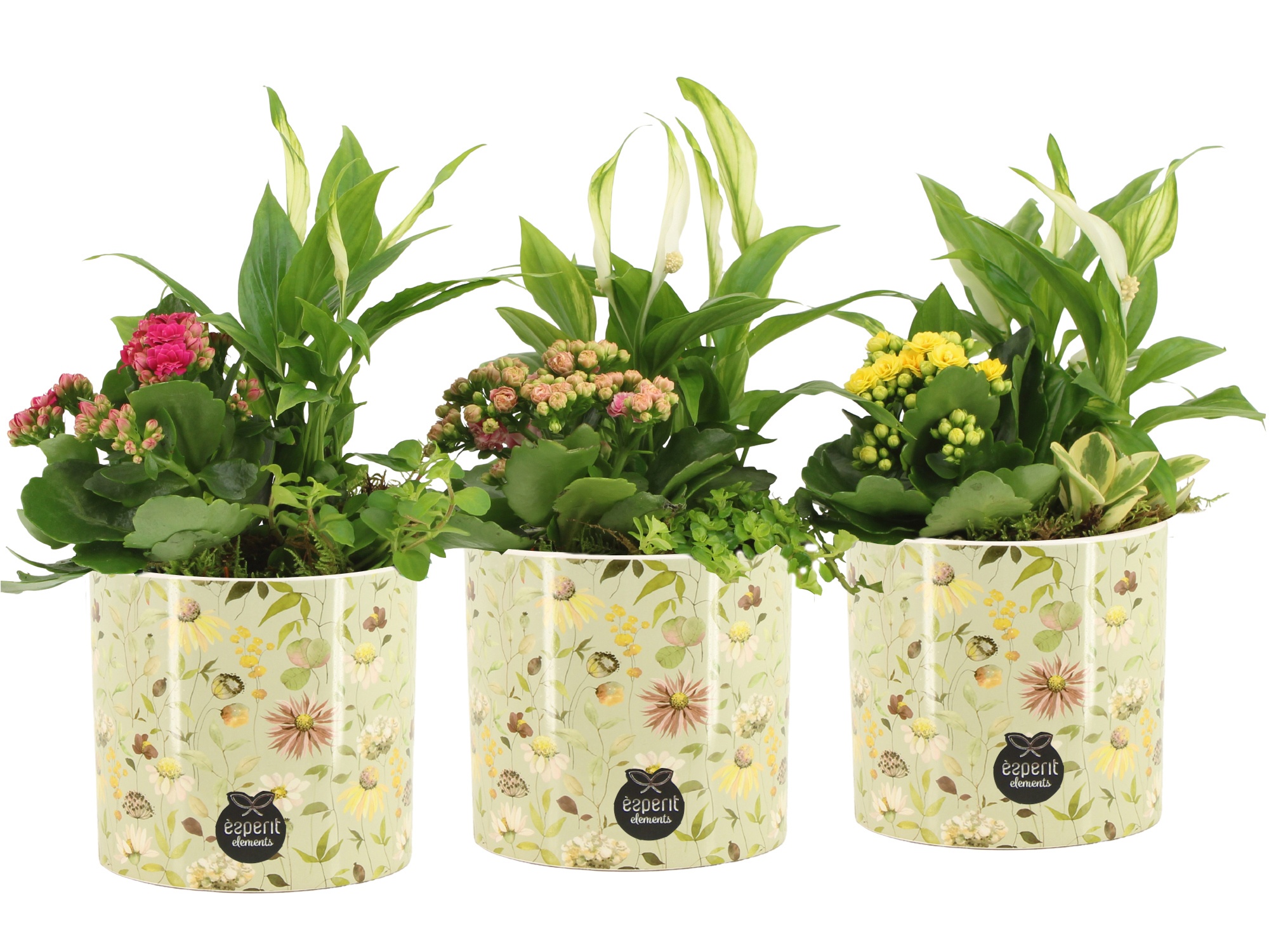 11692: Consideration arrangement, D 14 cm