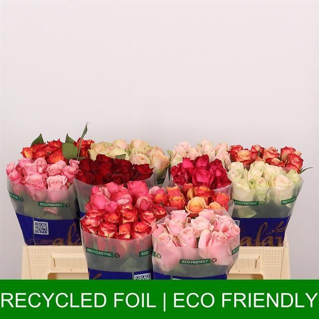 Роза од. Микс в баке 40, шт.