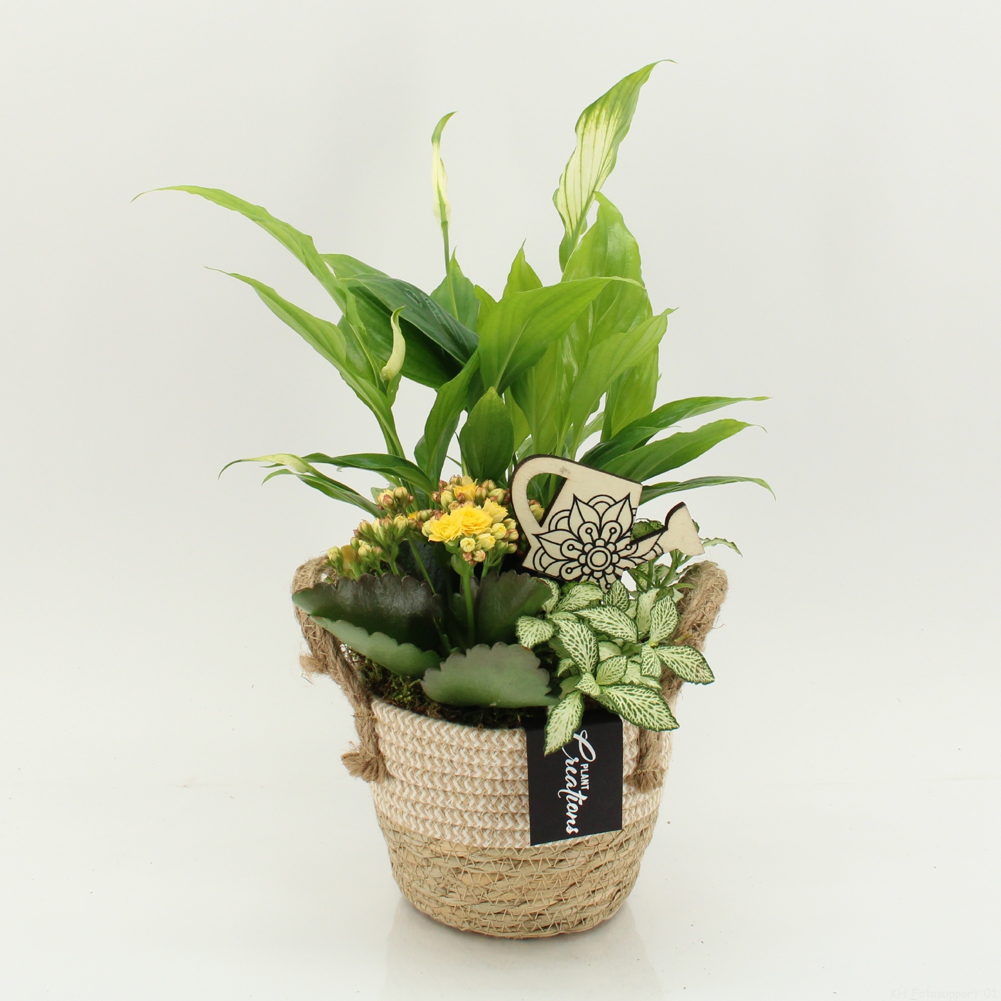 FDCR-2617G Basic Fundamentals, D 14