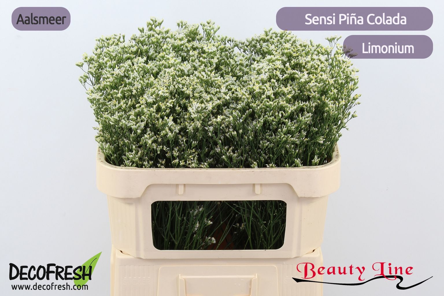 Лимониум Сенси Пина Колада 70, шт.