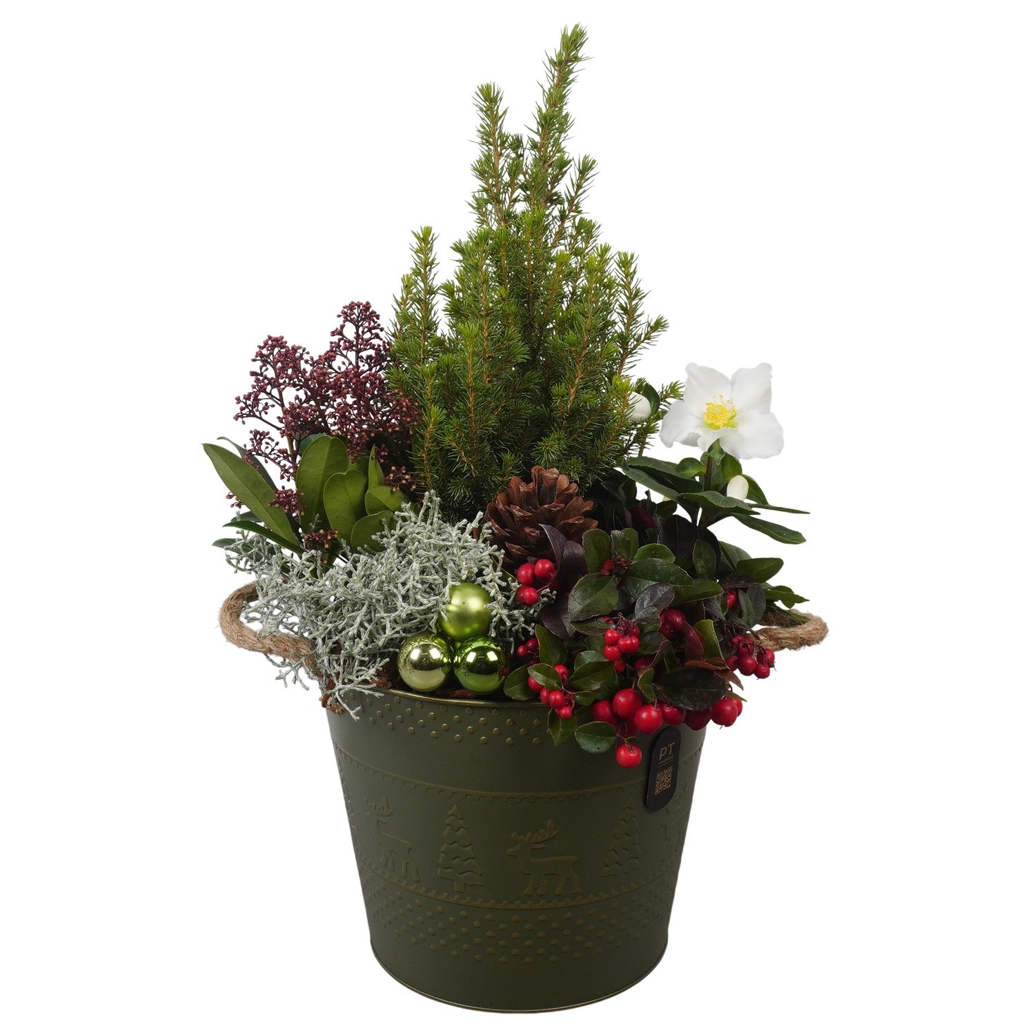 PTCHO5486 Arrangement Christmas Outdoor in metalen pot, D 24