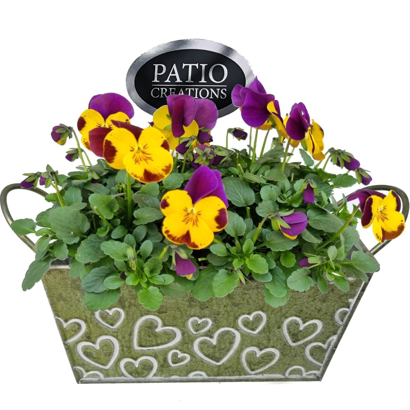 V761-9001 Viola Green Love zink S, D 18 cm V761-9001 Viola Green Love zink S, D 18 cm