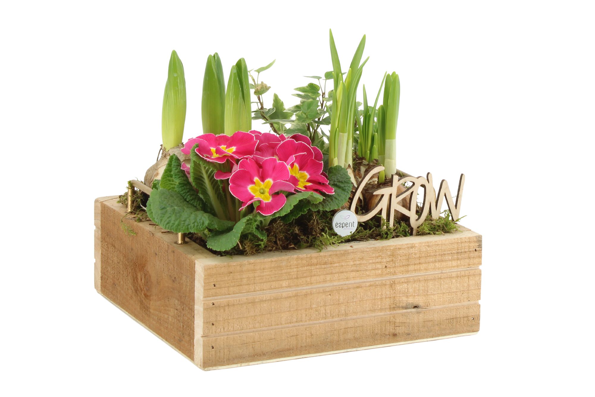 11321: Outdoor spring arrangement, D 23 cm