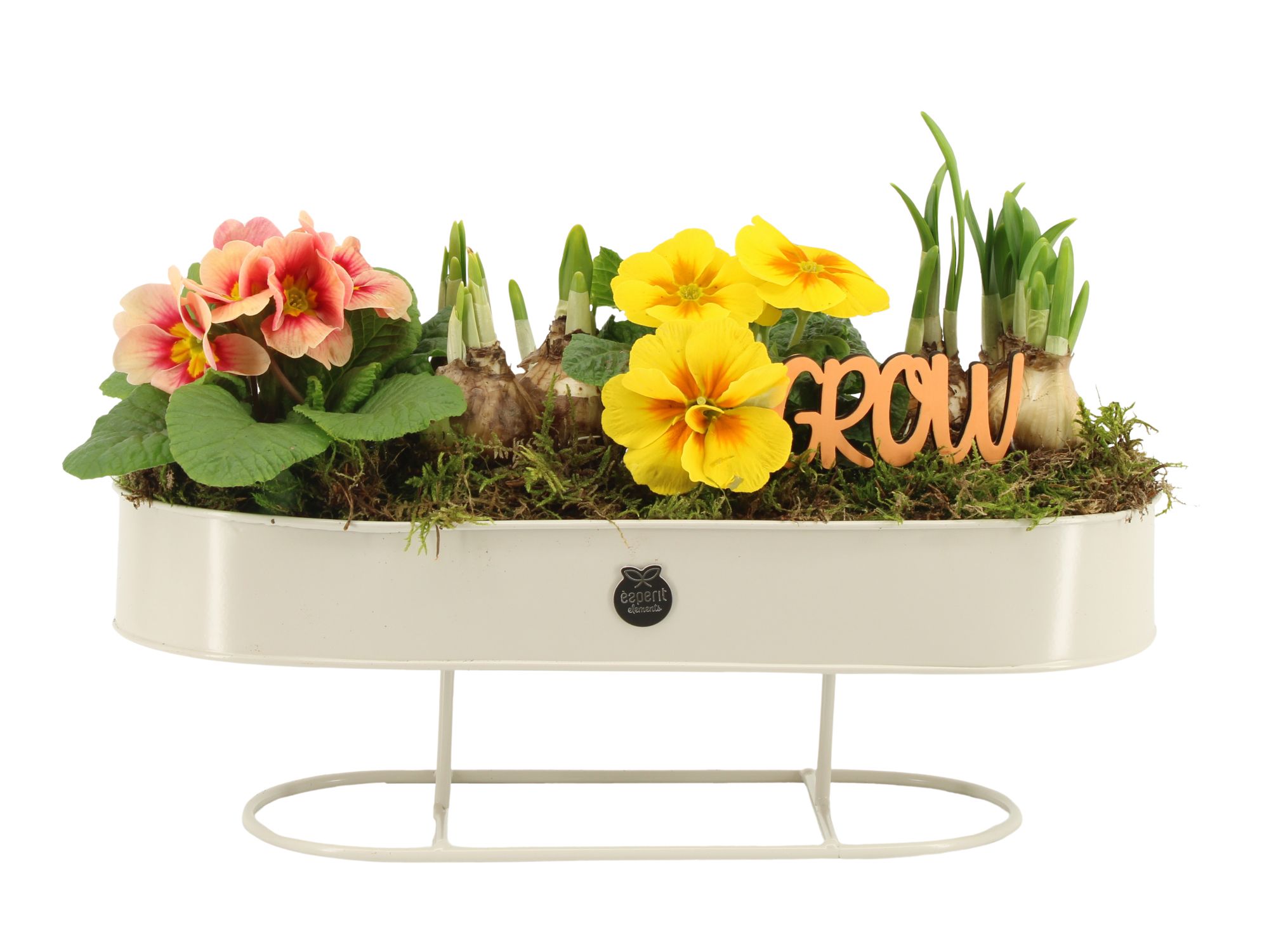 11464: Outdoor spring arrangement, D 36 cm