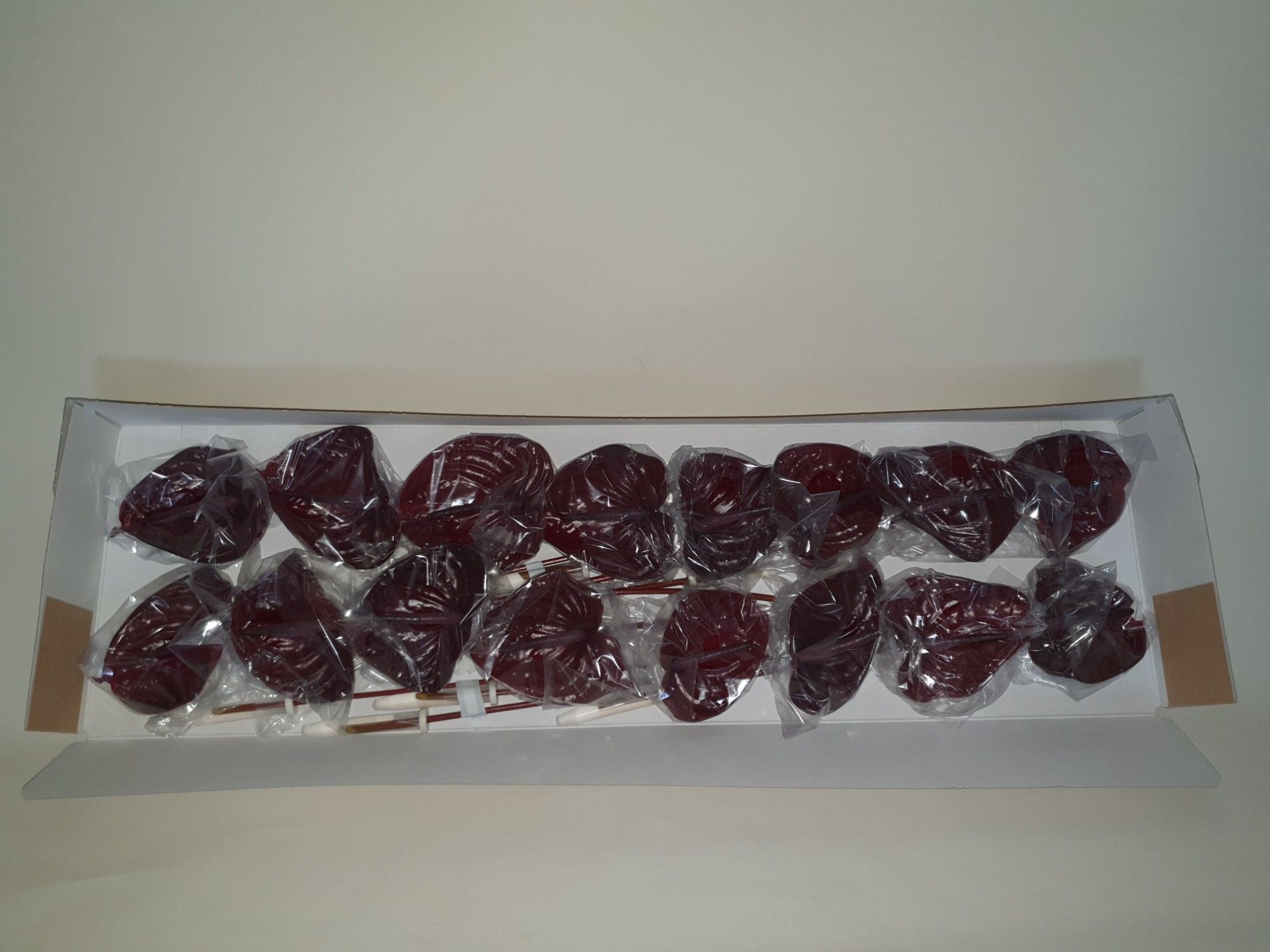 Антуриум Неро x16, шт.