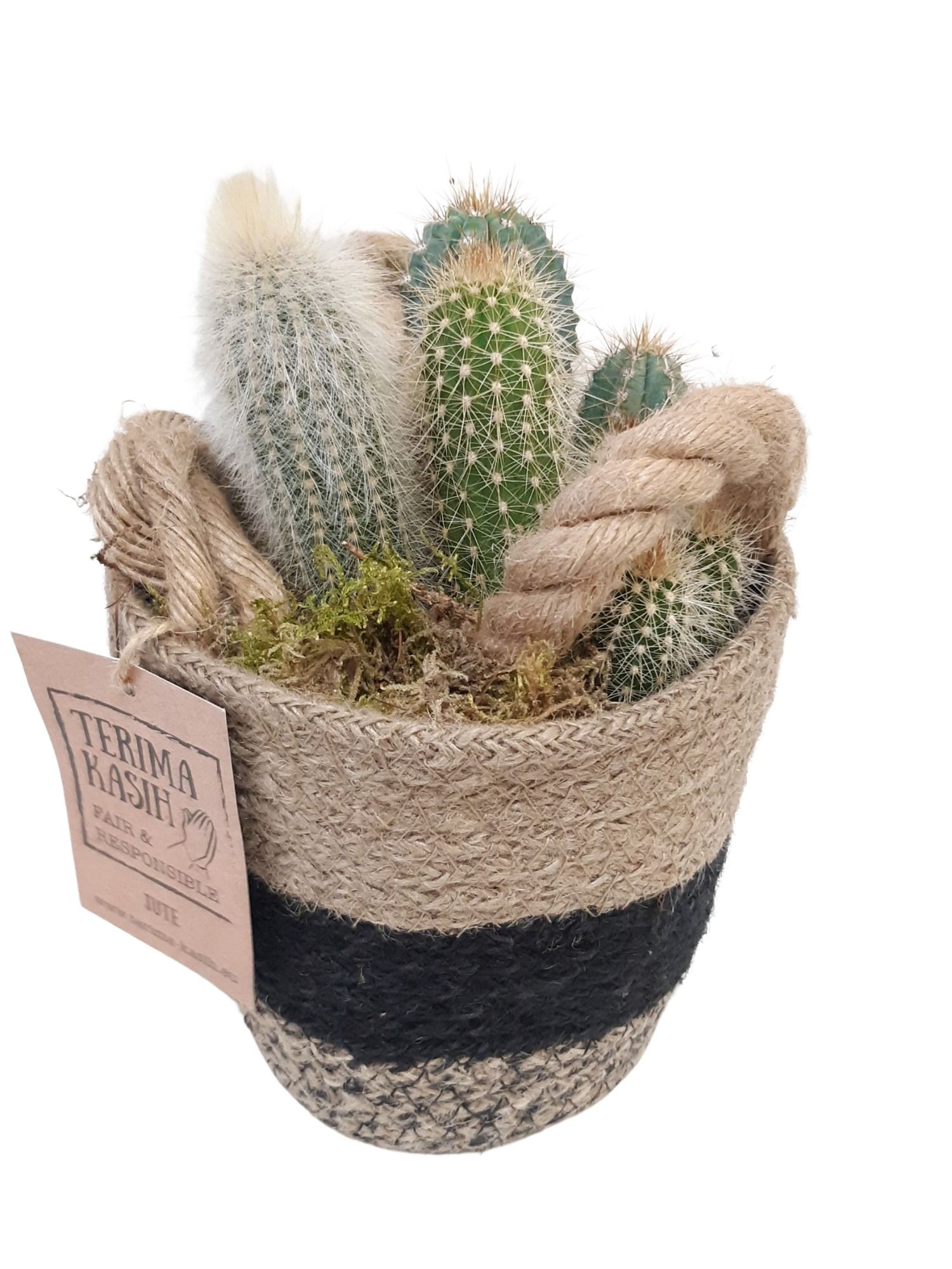 JM14CTS Jute mand Cactusmix, D 14