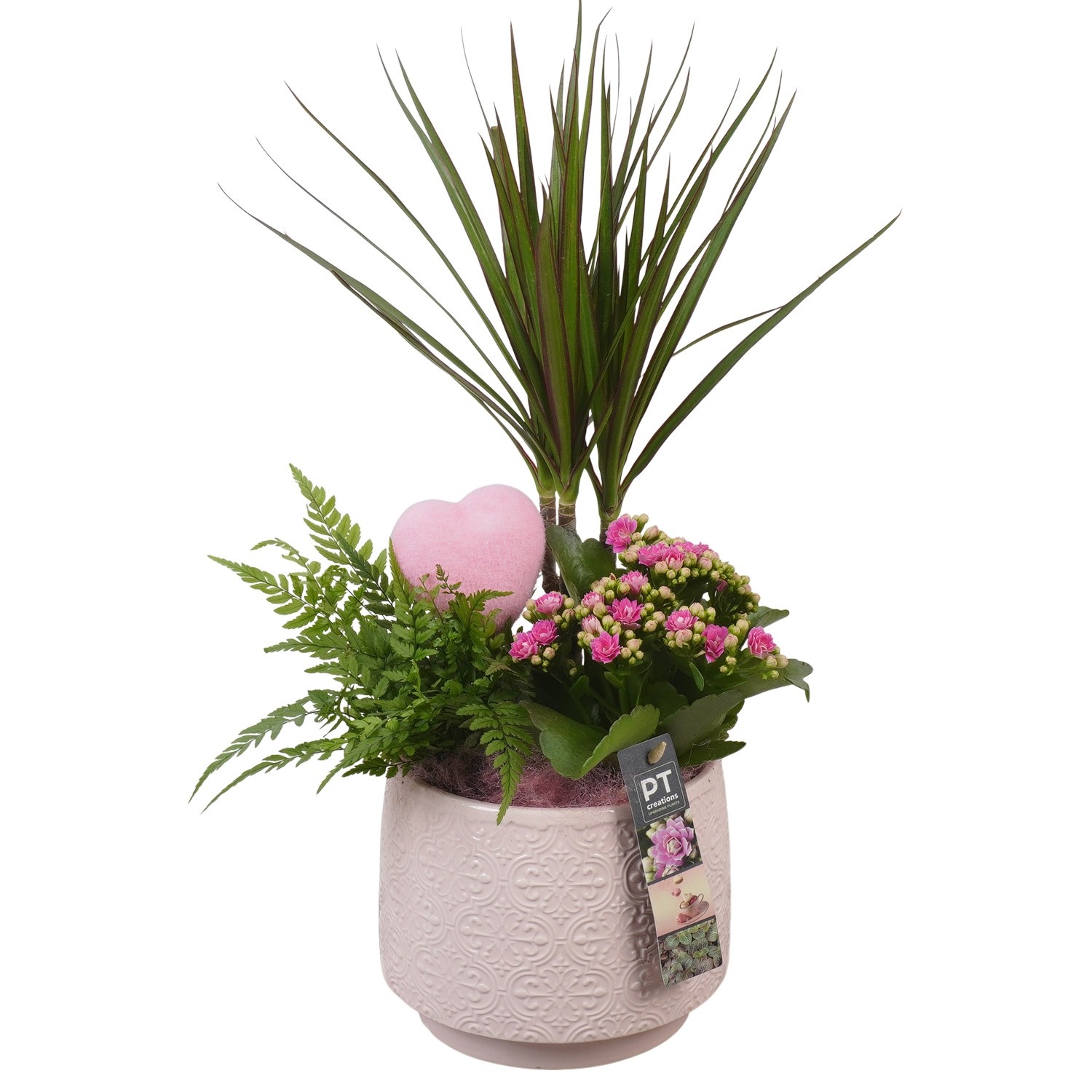 PTVMB2235 Arrangement Valentines-Mothersday in keramiek sierpot, D 17