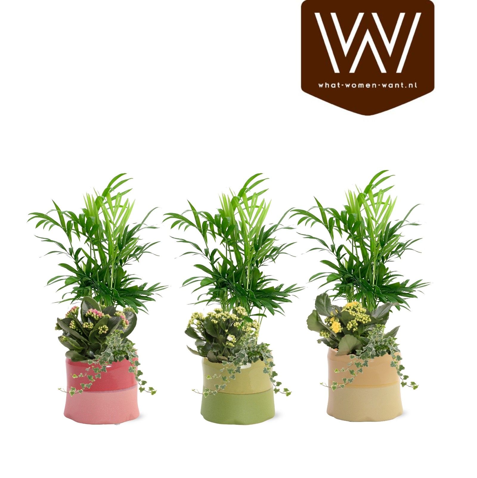 Collectie "Fruity Blend" Arrangement Keramiek Evita, D 12