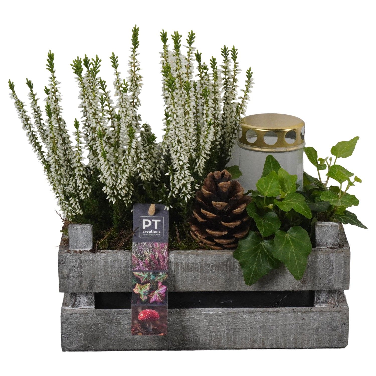 PTAH8679 Arrangement Allerheiligen in houten bak, D 24 cm PTAH8679 Arrangement Allerheiligen in houten bak, D 24 cm