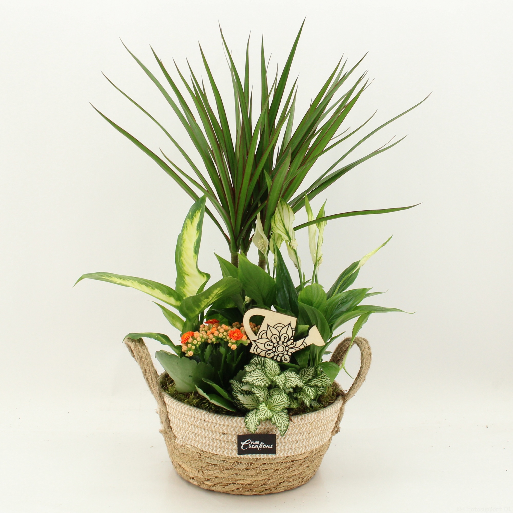 FDCR-2619OR Basic Fundamentals, D 21