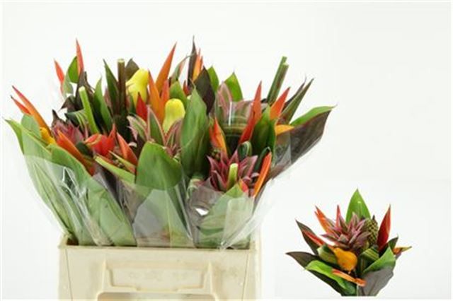 Геликония Букет, шт.