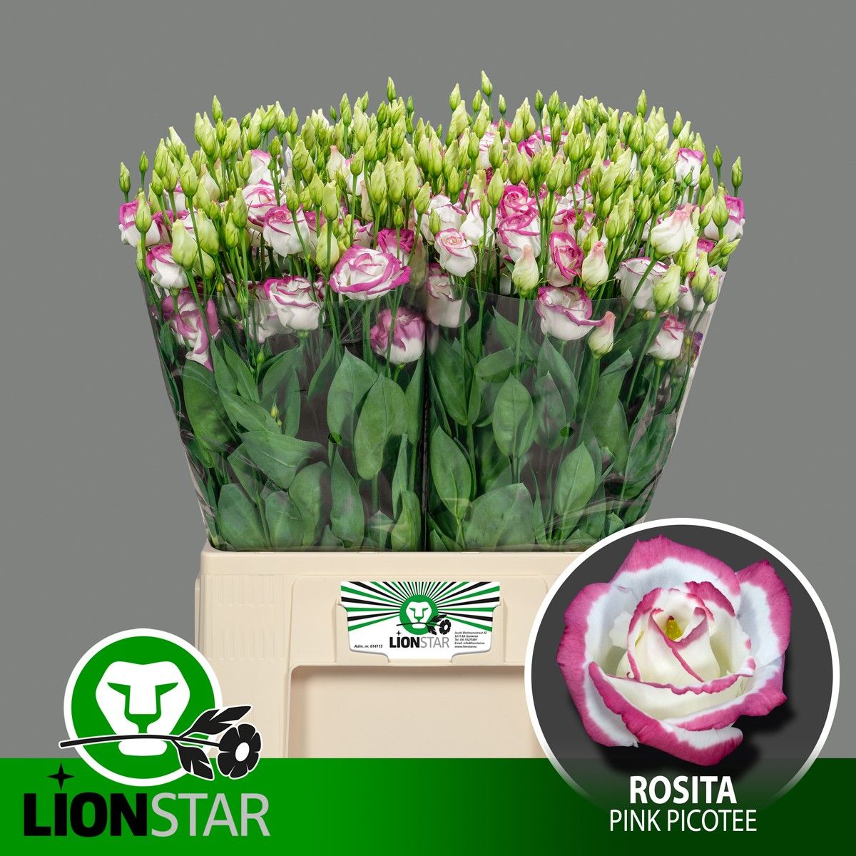 Эустома Экскалибур Хот Липс 65, шт.