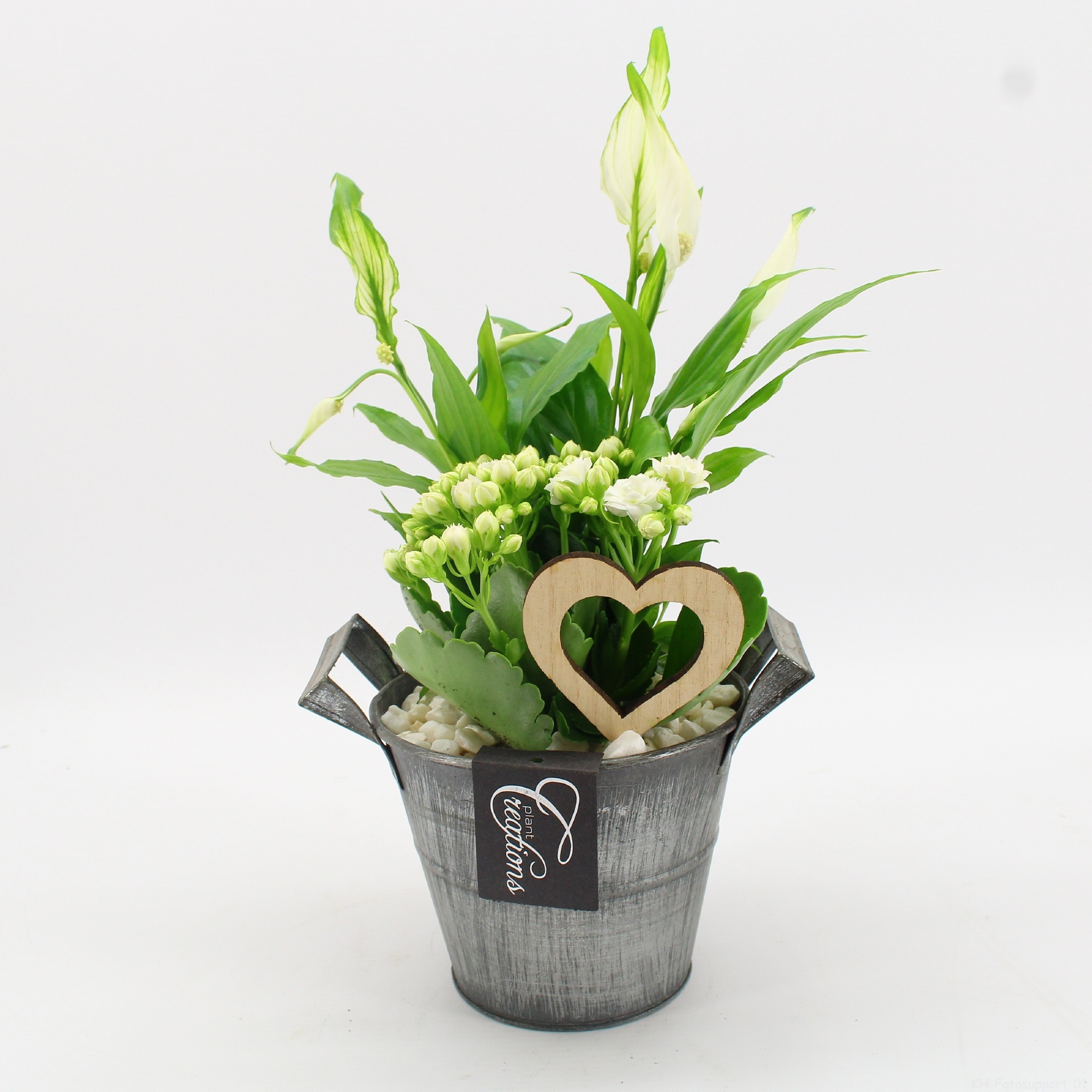 FDRM-2613W Romantic Fundamentals, D 14