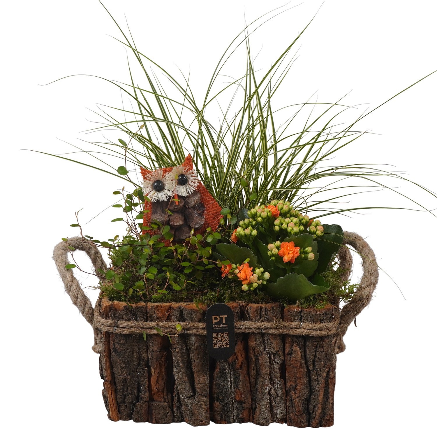 PTHI3348 Arrangement Autumn Indoor in houten bak, D 20