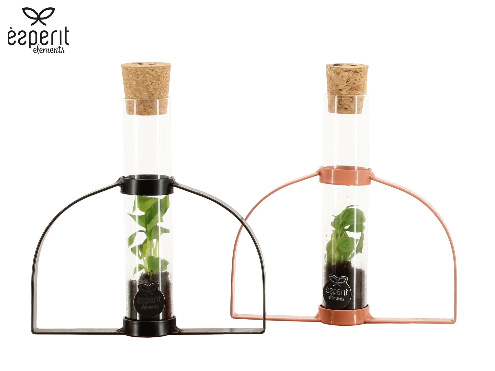 90986: Terrarium arrangement, D 15
