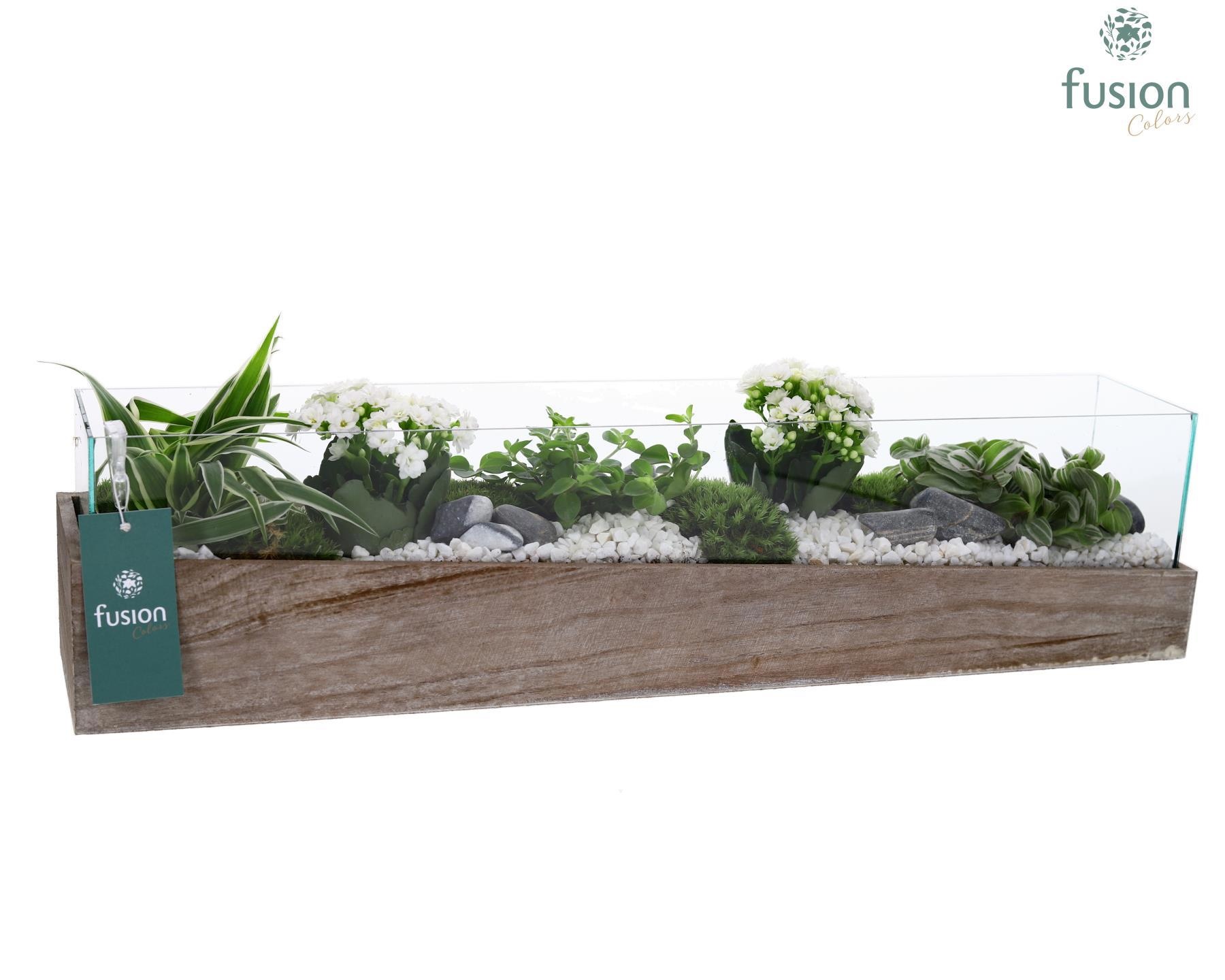 Aquarium Large met Arrangement, D 58 cm Aquarium Large met Arrangement, D 58 cm