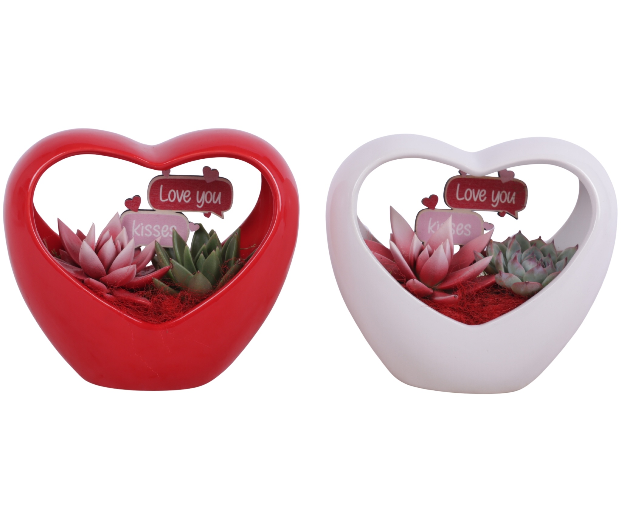 Valentine Arr. Succulent Ceramic Heartshape Bow Red/White Ø18cm, D 18