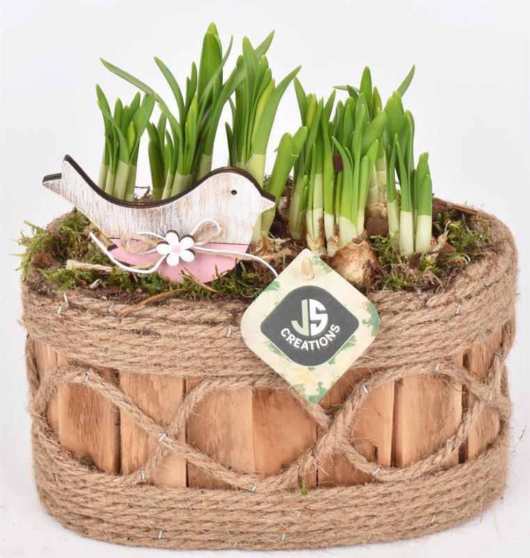 Hout ovaal met touw 21x11.5cm, D 21