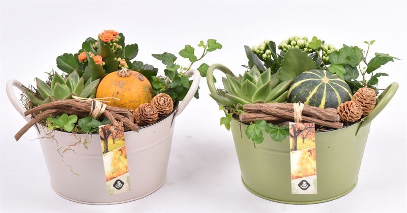 Zink schaal kleur mix 20 cm, D 19