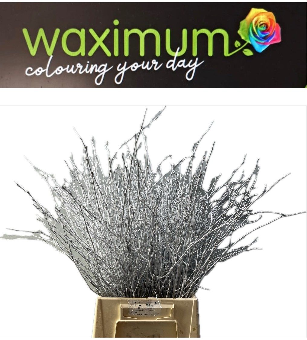 Беркетакен Овериг Крашеный (краш. ) 70, шт.