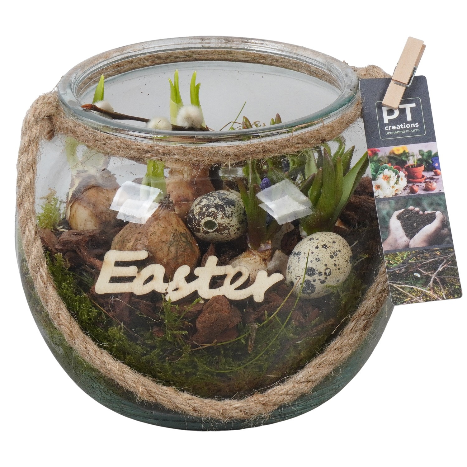 PTBMP5751 Arrangement Easter Bulbs Mix in glazen vaas in bol vorm, D 19