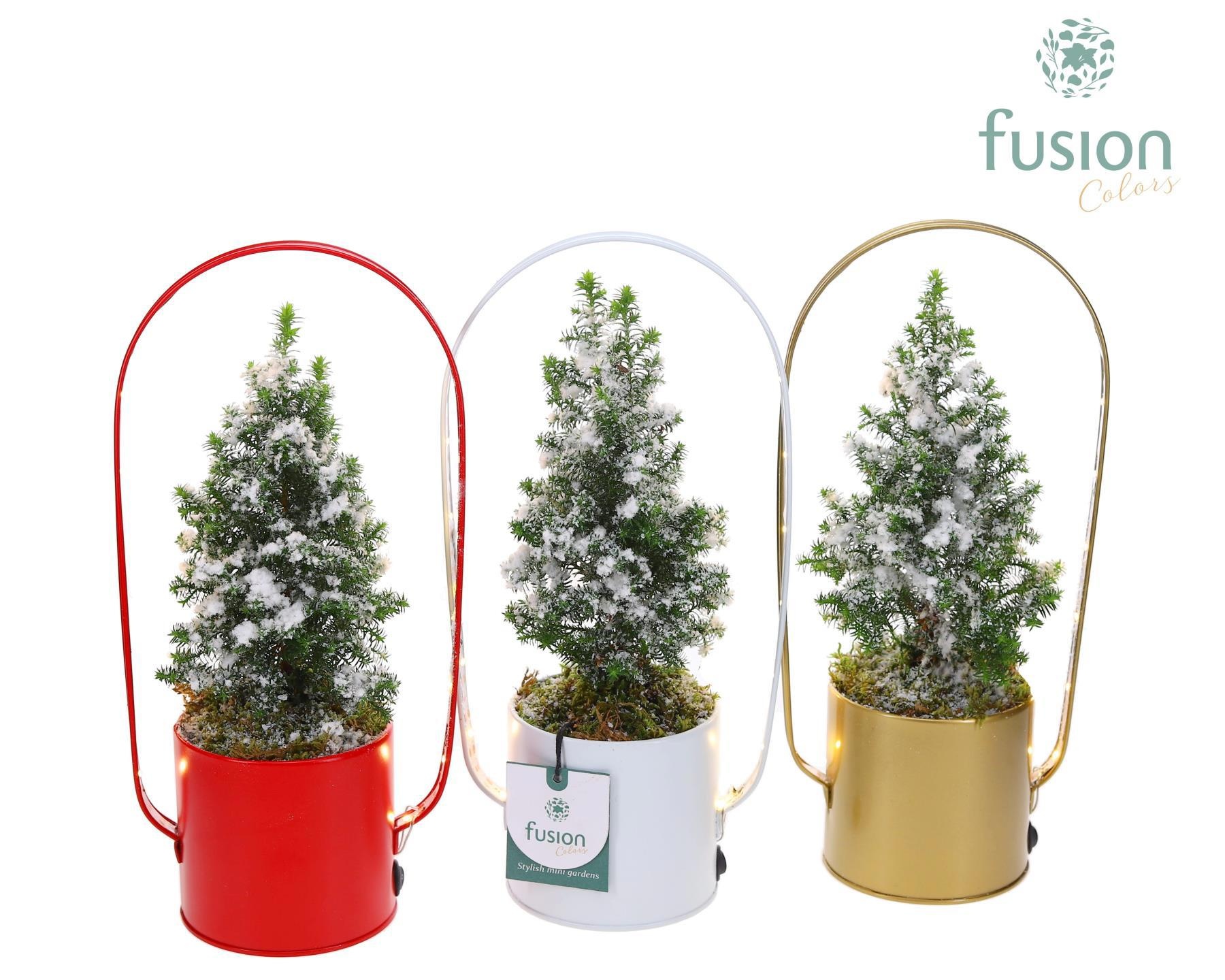 Led planter zink boog Kerst met Top Point, D 9