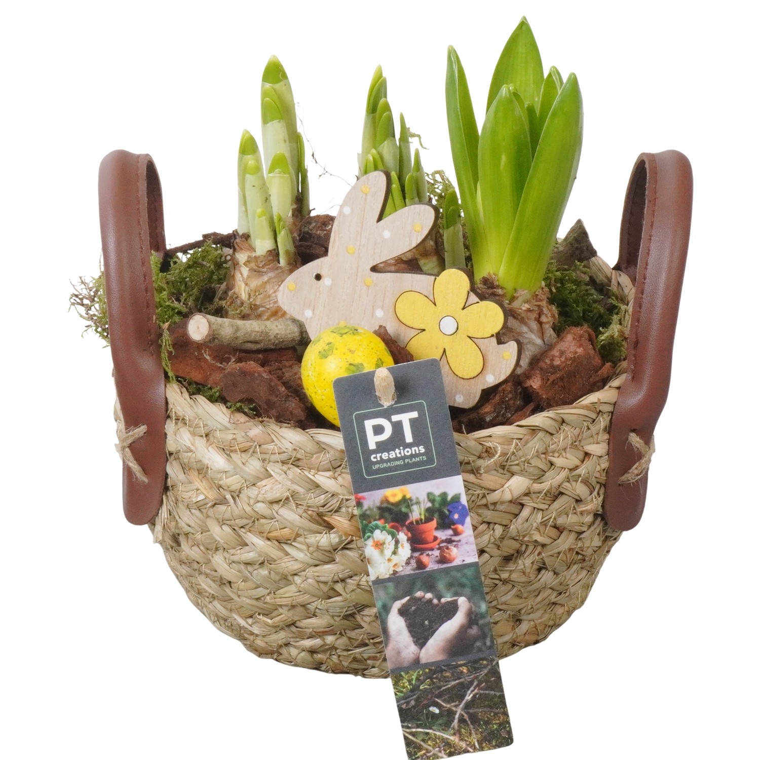 PTBMP5685 Arrangement Easter Bulbs Mix in rieten mand, D 15