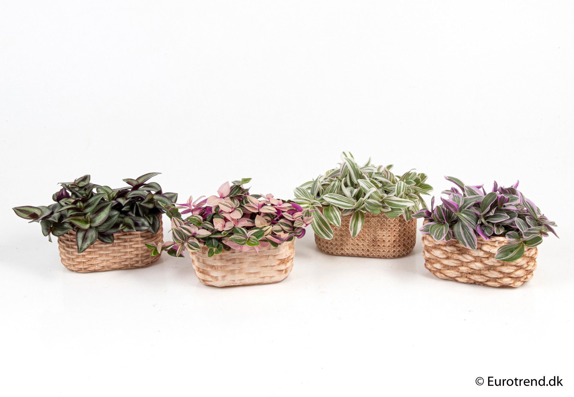 Green mix in duo ceramic - New Look 2025, D 6