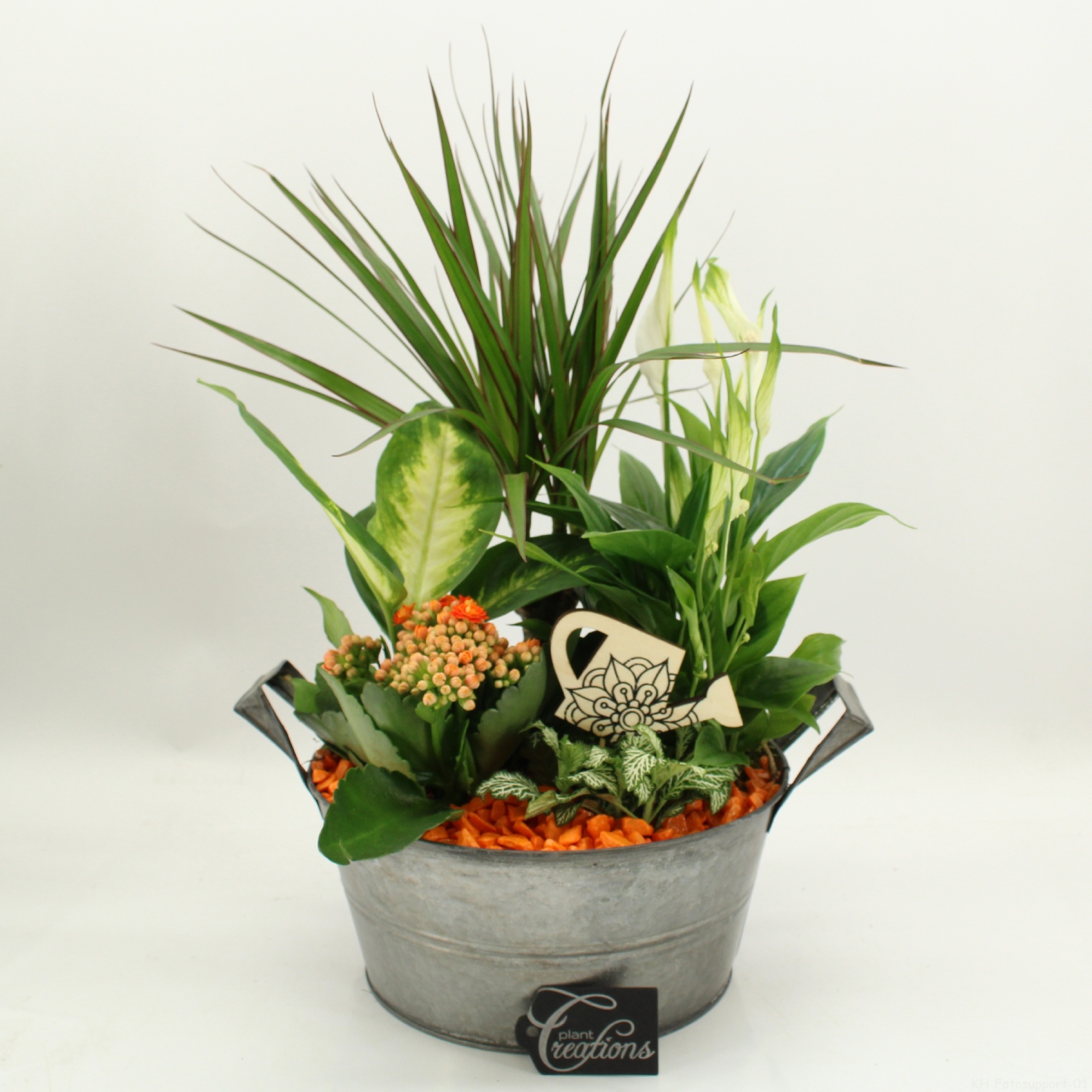 FDCR-2615OR Basic Fundamentals, D 23