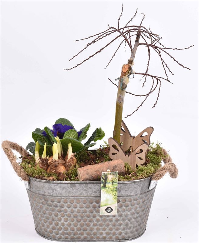 Zink ovaal 26x15,5 old look, D 26