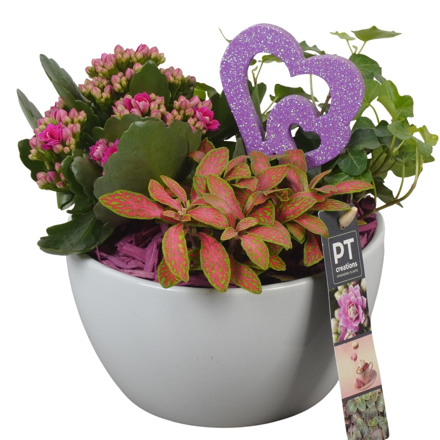 PTVMB2221 Arrangement Valentines-Mothersday in keramiek schaal, D 15