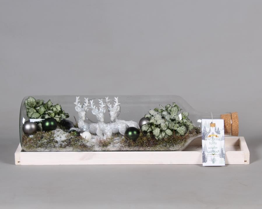 Green Bottle Fles Large liggend Kerst met Arrangement, D 58 cm Green Bottle Fles Large liggend Kerst met Arrangement, D 58 cm