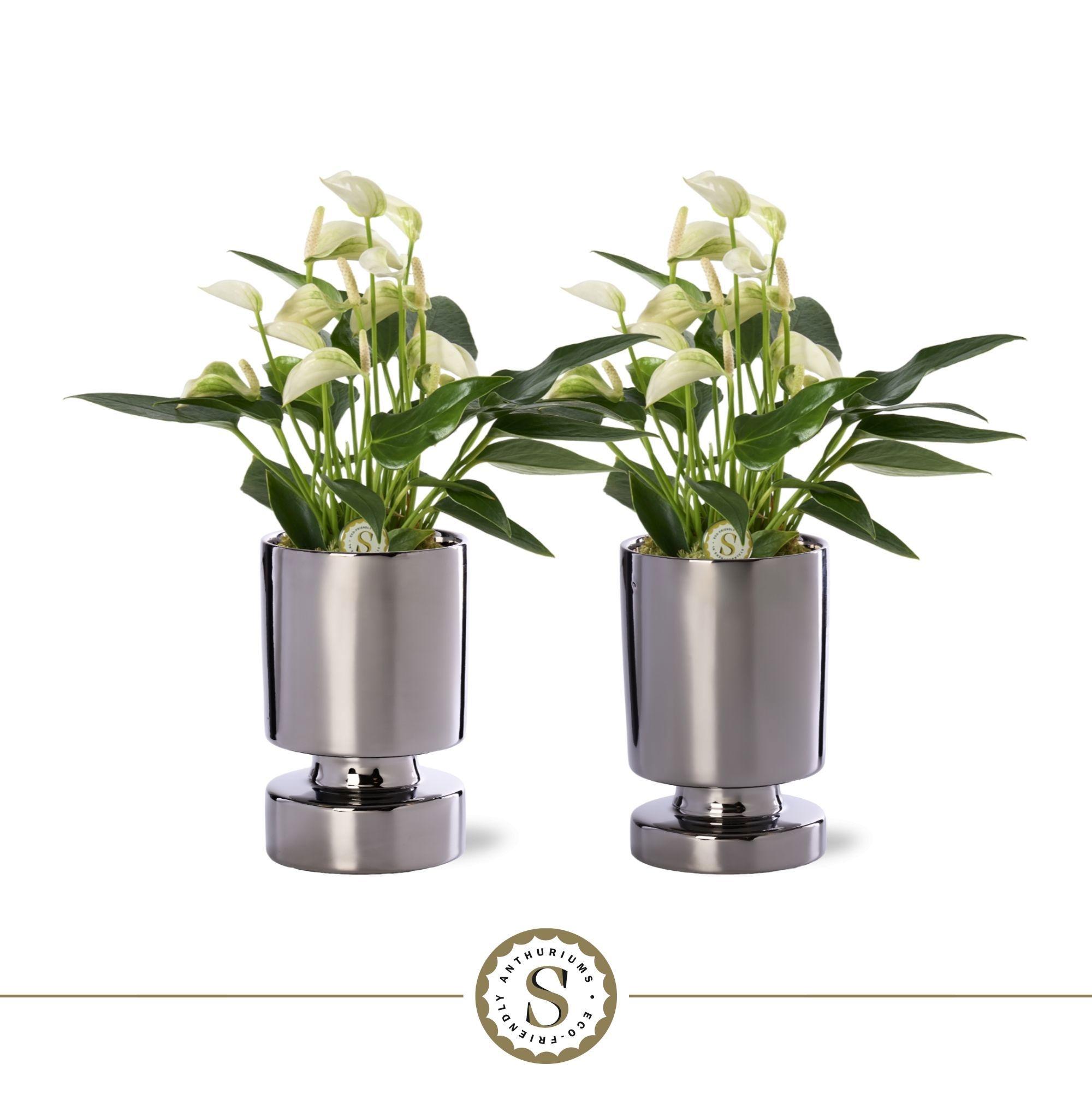 Stockholm Silver Keramiek 9cm White Champion, D 9 cm Stockholm Silver Keramiek 9cm White Champion, D 9 cm