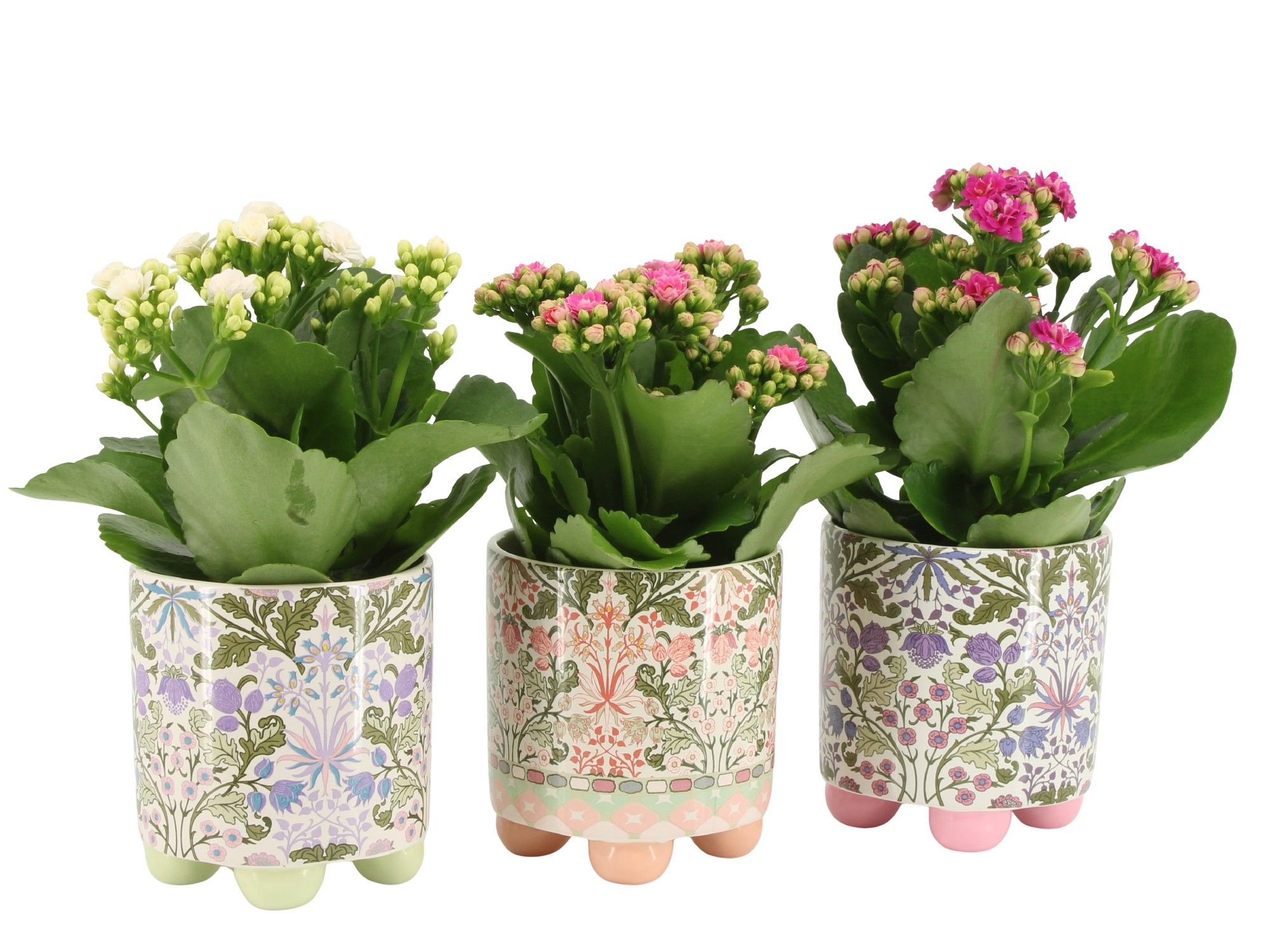 7502503: Solutionss Contradiction, D 9