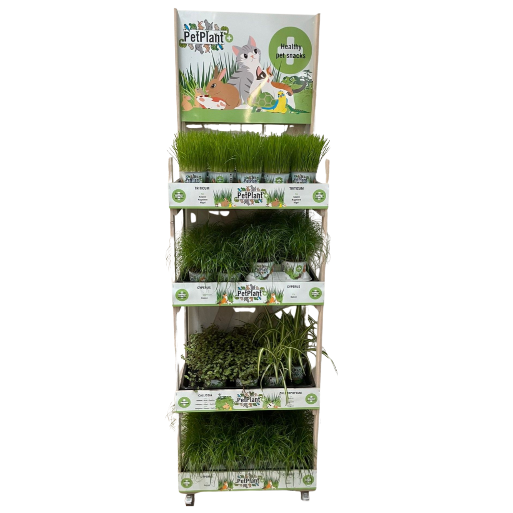 Houten rek Cartoon(42x62x215) zonder planten, D 12