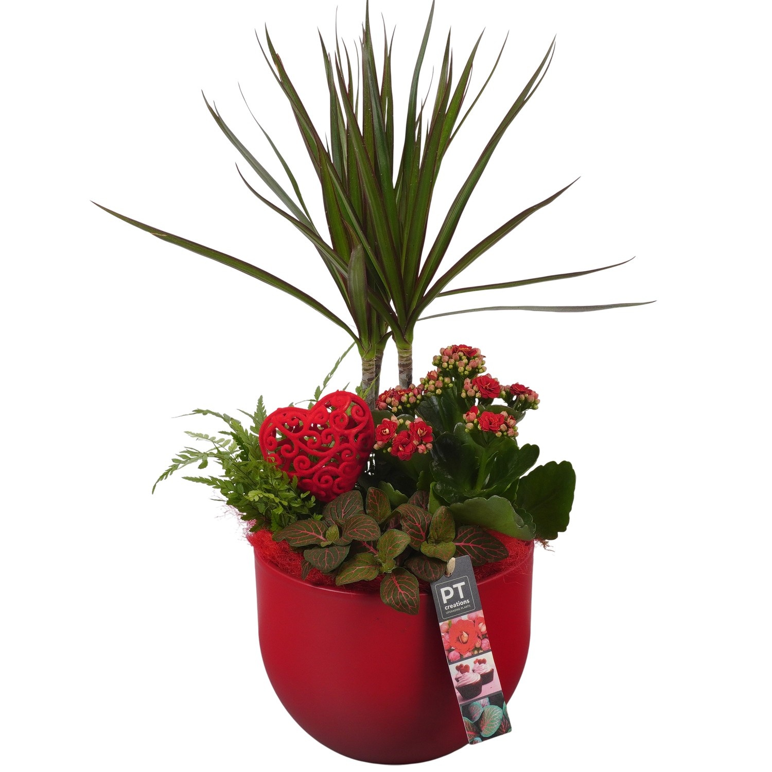 PTVMB2206 Arrangement Valentines-Mothersday in keramiek sierpot, D 19